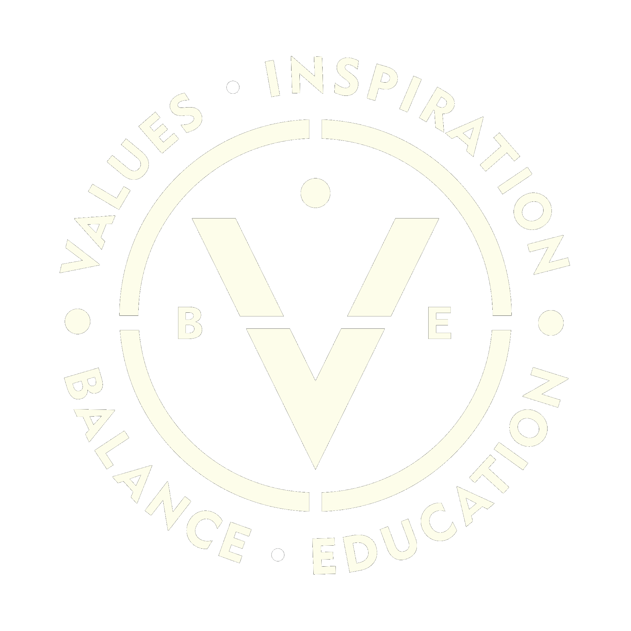 Fundacja VIBE
